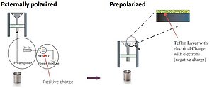 Figure 3. Left: Externally polarized microphone layout with external positive charge polarizing the capsule. Right: Prepolarized microphone with internal negative charge polarizing the capsule.